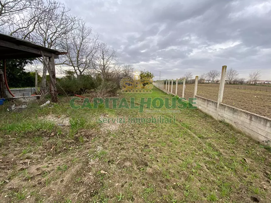 Immagine 2 di Terreno agricolo in vendita  in Via Appia Antica a Maddaloni