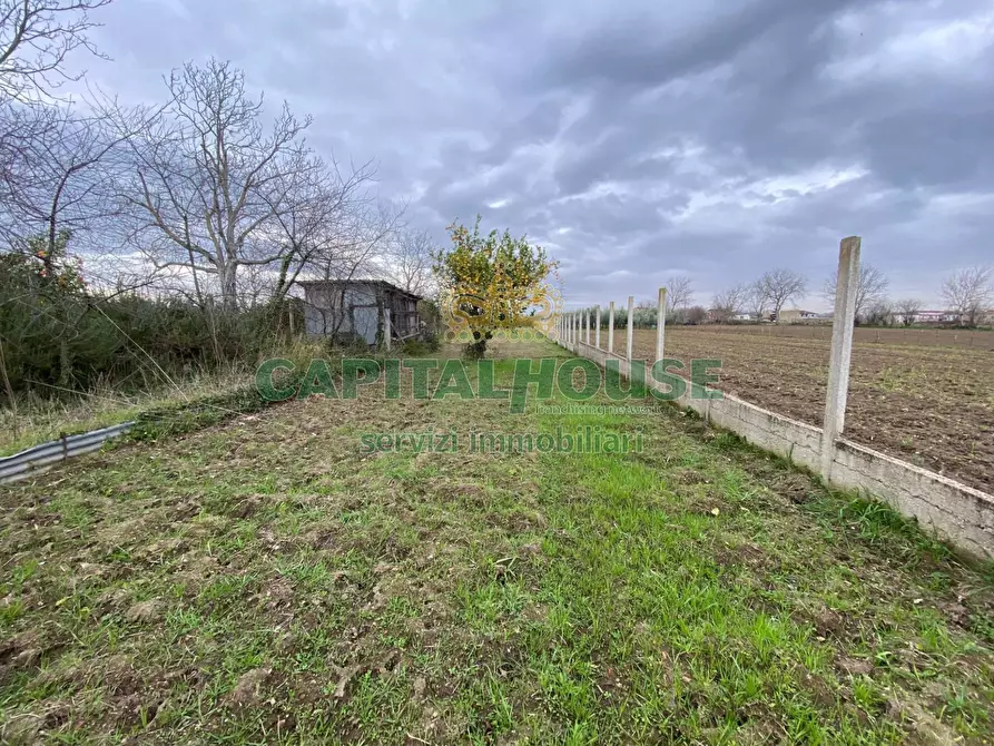Immagine 4 di Terreno agricolo in vendita  in Via Appia Antica a Maddaloni