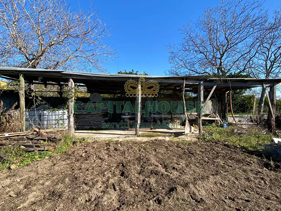 Immagine 6 di Terreno agricolo in vendita  in Via Appia Antica a Maddaloni