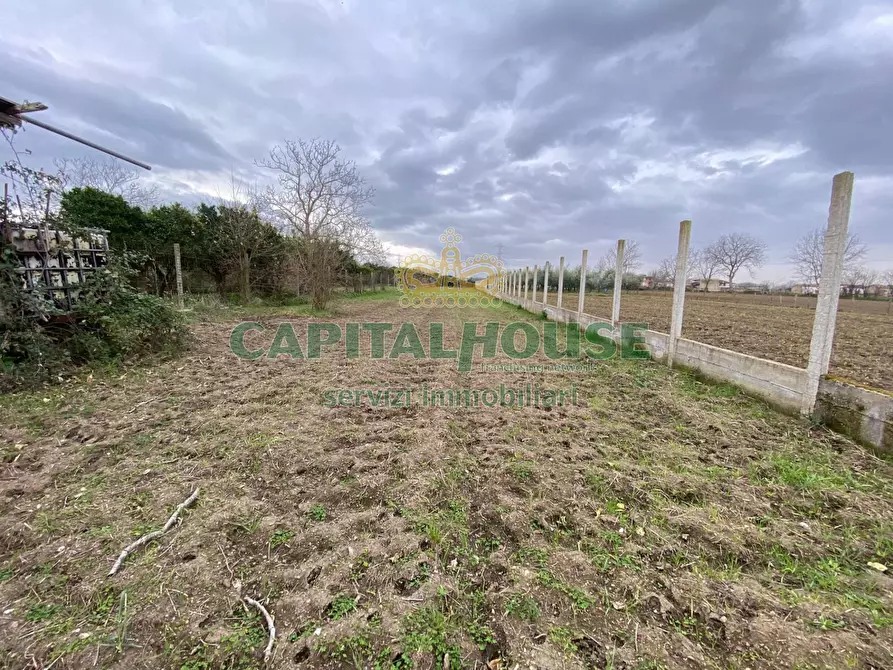 Immagine 7 di Terreno agricolo in vendita  in Via Appia Antica a Maddaloni