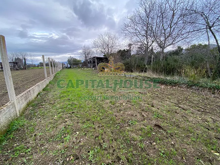 Immagine 8 di Terreno agricolo in vendita  in Via Appia Antica a Maddaloni