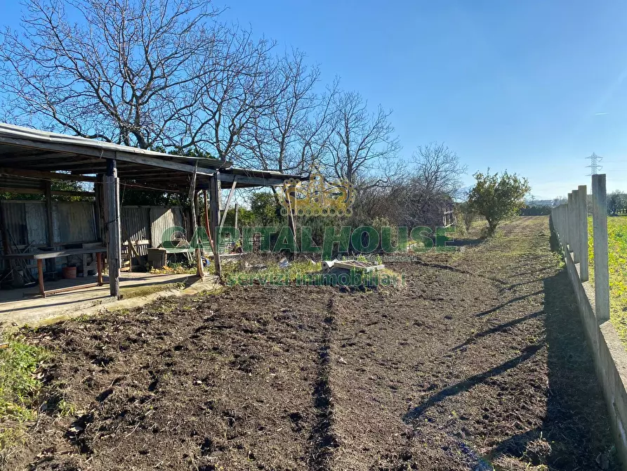 Immagine 9 di Terreno agricolo in vendita  in Via Appia Antica a Maddaloni