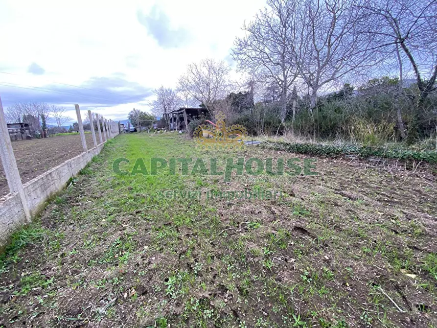 Immagine 10 di Terreno agricolo in vendita  in Via Appia Antica a Maddaloni