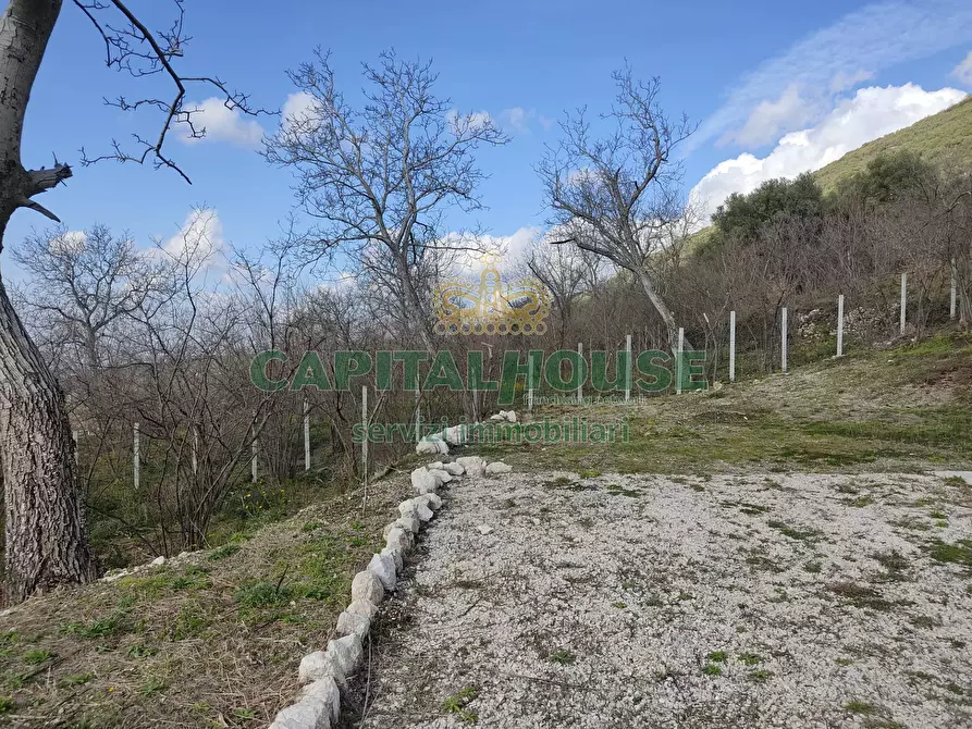 Immagine 2 di Terreno agricolo in vendita  in sirignano a Sirignano