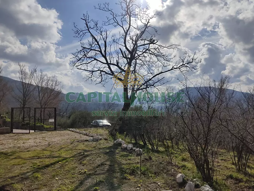 Immagine 4 di Terreno agricolo in vendita  in sirignano a Sirignano