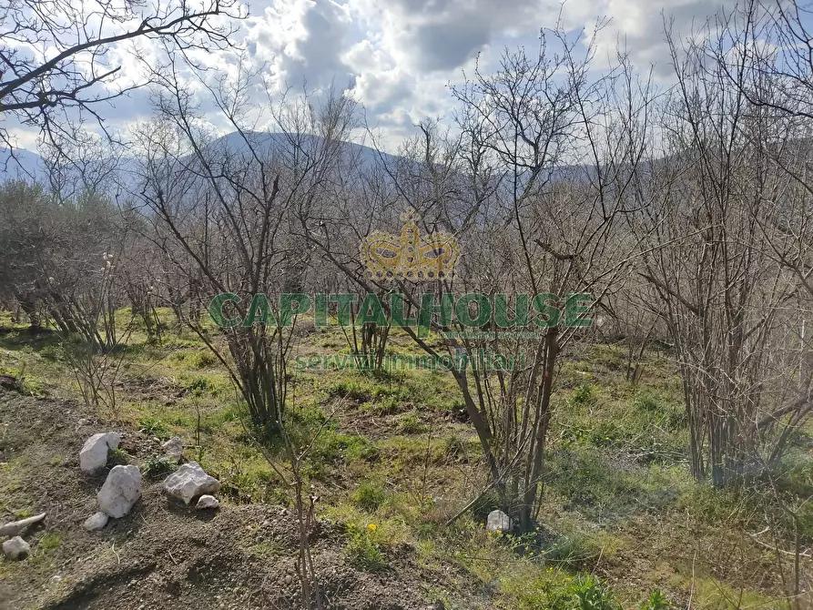 Immagine 10 di Terreno agricolo in vendita  in sirignano a Sirignano