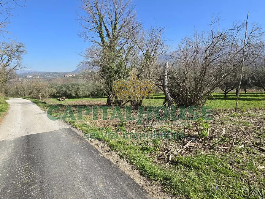 Immagine 6 di Terreno agricolo in vendita  in Via Contrada Migliara a Sant'agata De' Goti