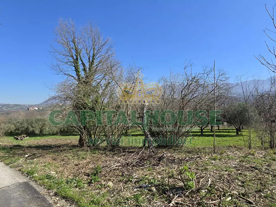 Immagine 7 di Terreno agricolo in vendita  in Via Contrada Migliara a Sant'agata De' Goti