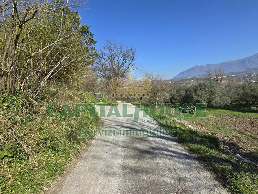 Immagine 10 di Terreno agricolo in vendita  in Via Contrada Migliara a Sant'agata De' Goti