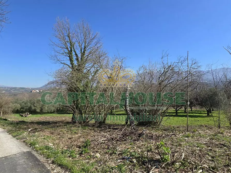 Immagine 11 di Terreno agricolo in vendita  in Via Contrada Migliara a Sant'agata De' Goti
