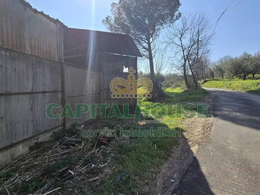 Immagine 12 di Terreno agricolo in vendita  in Via Contrada Migliara a Sant'agata De' Goti