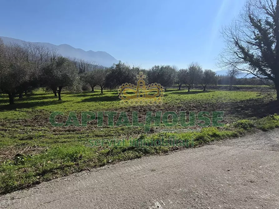 Immagine 3 di Terreno agricolo in vendita  in Via Contrada Migliara a Sant'agata De' Goti