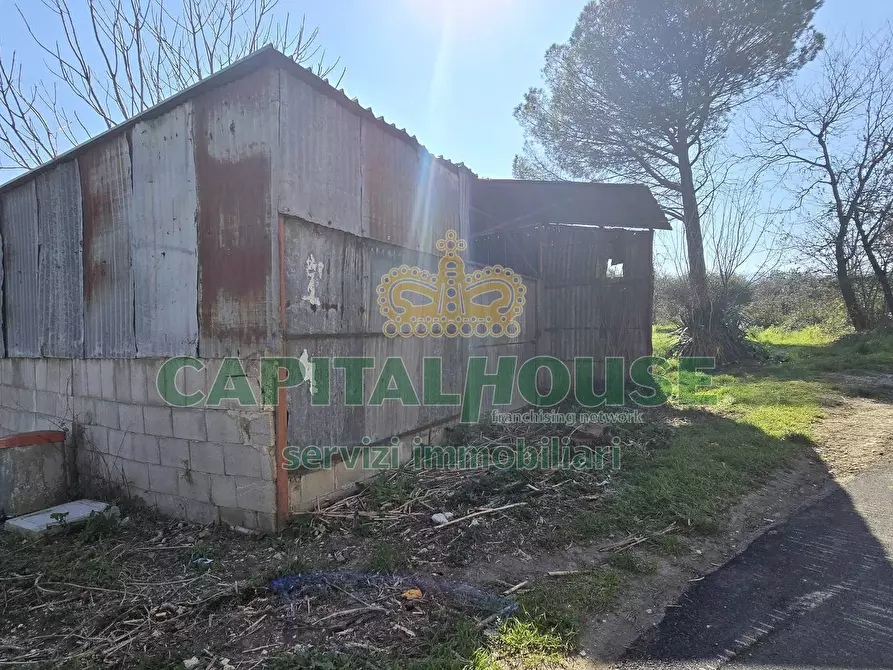 Immagine 5 di Terreno agricolo in vendita  in Via Contrada Migliara a Sant'agata De' Goti