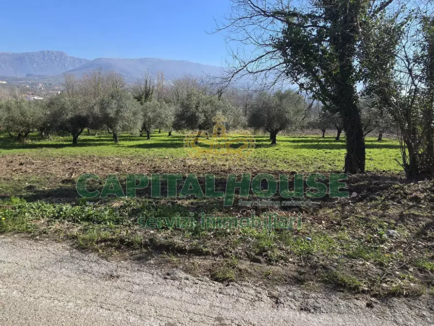 Immagine 14 di Terreno agricolo in vendita  in Via Contrada Migliara a Sant'agata De' Goti