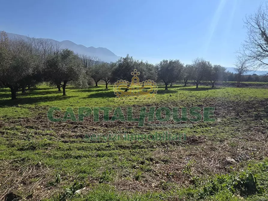Immagine 15 di Terreno agricolo in vendita  in Via Contrada Migliara a Sant'agata De' Goti
