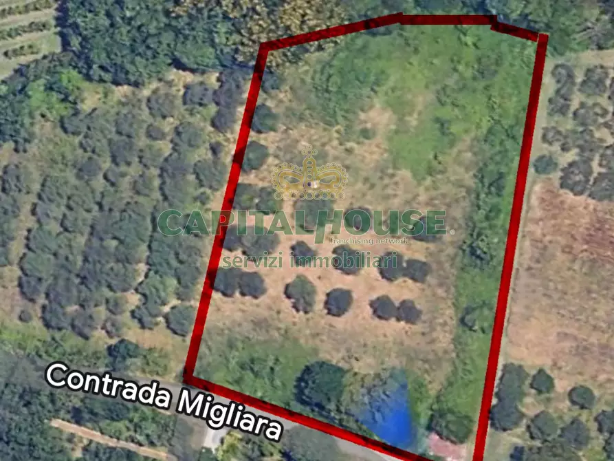 Immagine 8 di Terreno agricolo in vendita  in Via Contrada Migliara a Sant'agata De' Goti