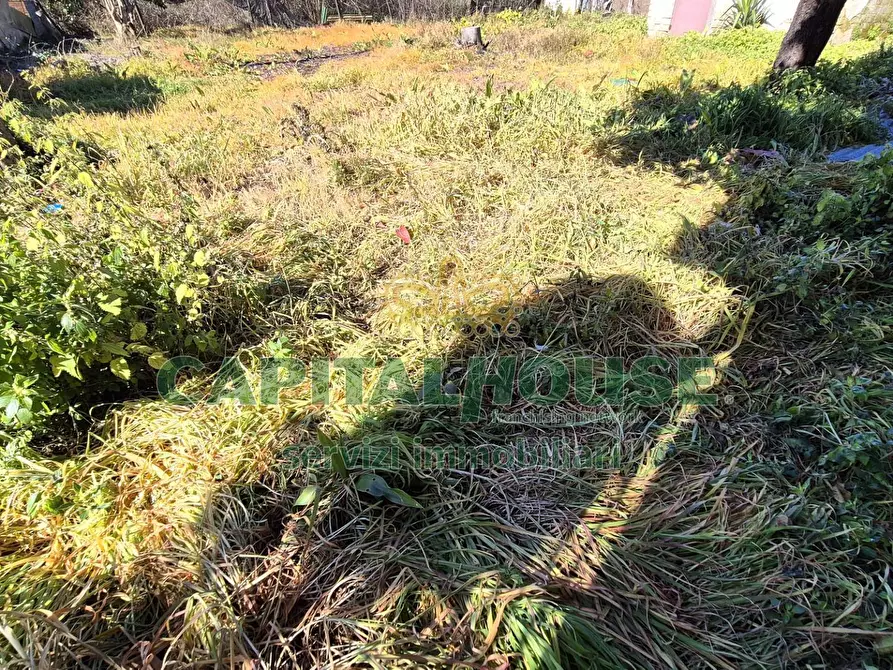 Immagine 3 di Terreno residenziale in vendita  a Marcianise