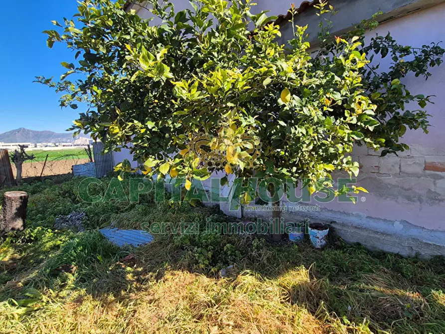 Immagine 4 di Terreno residenziale in vendita  a Marcianise