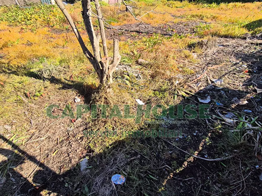 Immagine 5 di Terreno residenziale in vendita  a Marcianise