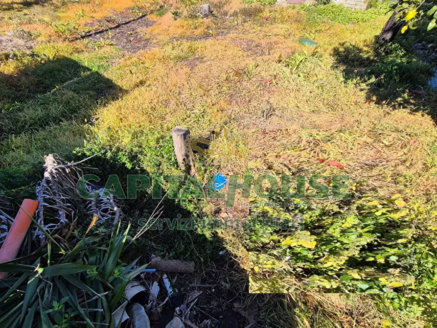 Immagine 6 di Terreno residenziale in vendita  a Marcianise