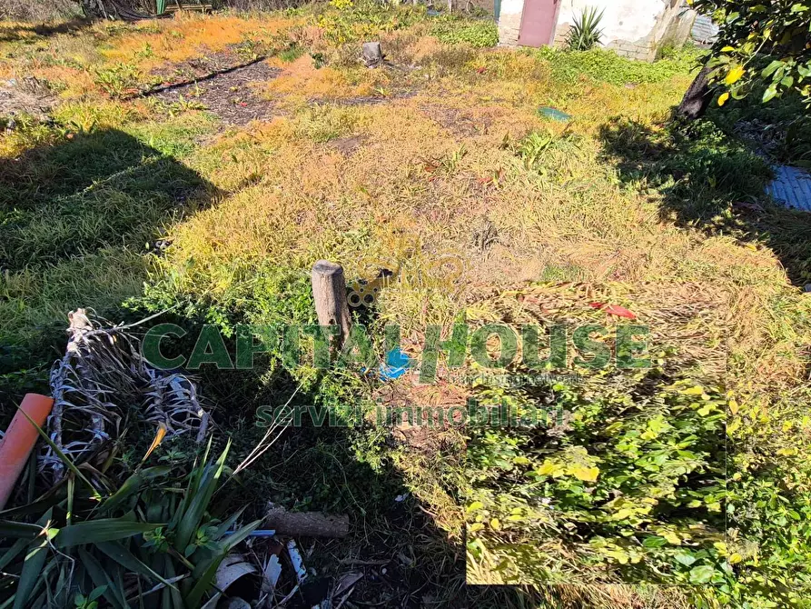Immagine 7 di Terreno residenziale in vendita  a Marcianise