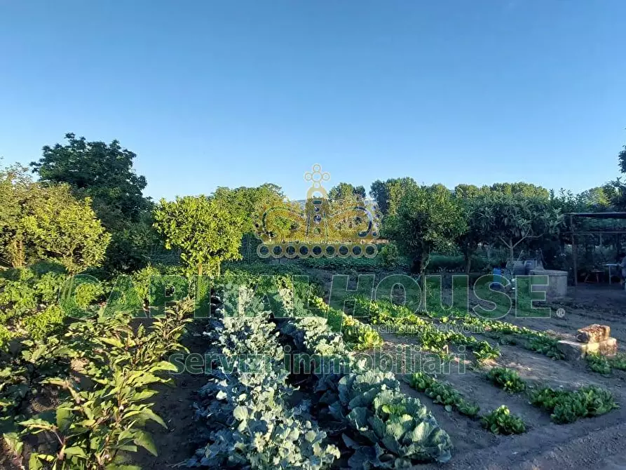 Immagine 6 di Terreno agricolo in vendita  in VIA ROMA a Ottaviano