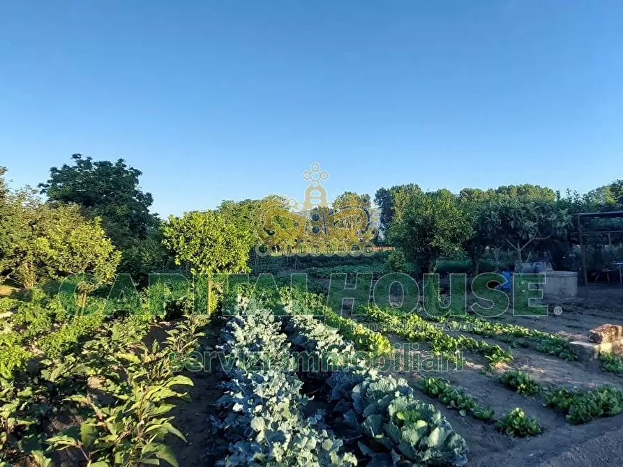 Immagine 7 di Terreno agricolo in vendita  in VIA ROMA a Ottaviano