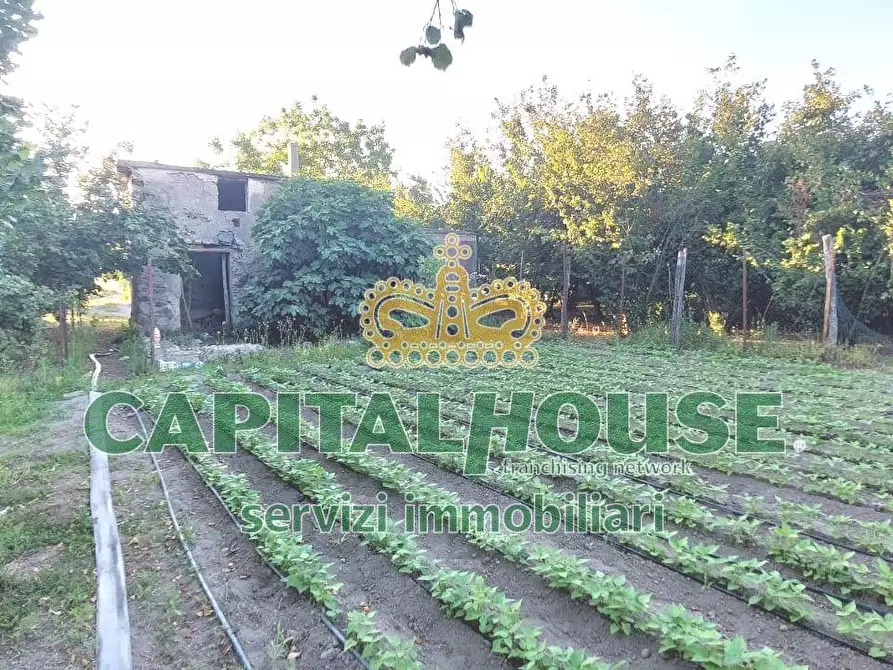 Immagine 9 di Terreno agricolo in vendita  in via Pigno a Somma Vesuviana