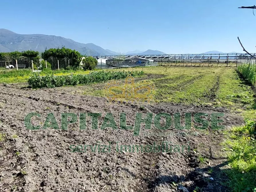Immagine 5 di Terreno agricolo in vendita  in via ceraso a Cercola