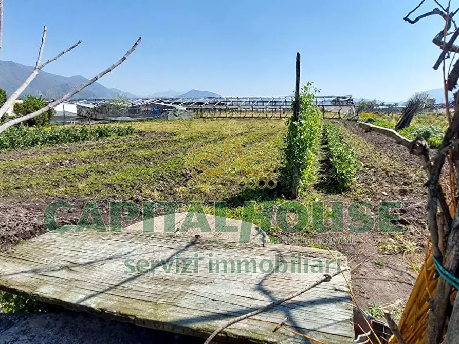 Immagine 6 di Terreno agricolo in vendita  in via ceraso a Cercola