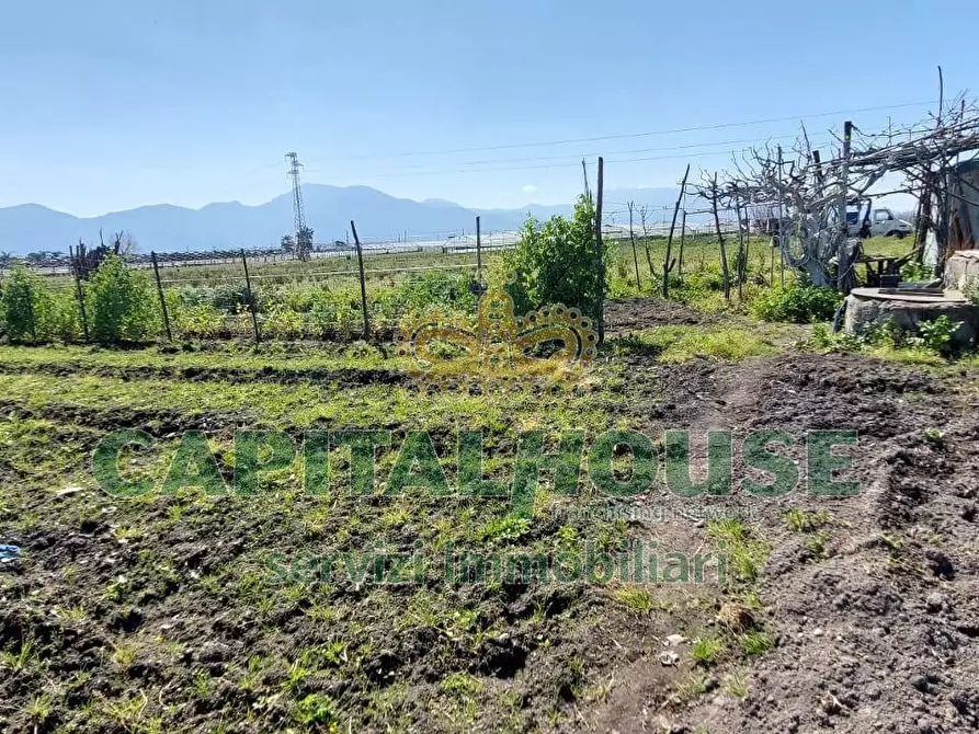 Immagine 7 di Terreno agricolo in vendita  in via ceraso a Cercola
