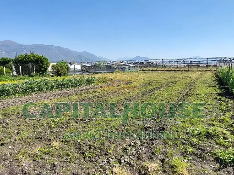 Immagine 2 di Terreno agricolo in vendita  in via ceraso a Cercola
