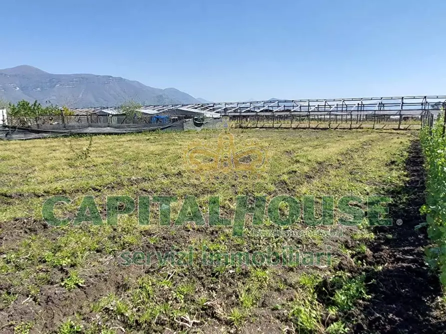 Immagine 8 di Terreno agricolo in vendita  in via ceraso a Cercola