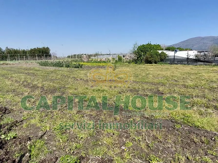 Immagine 9 di Terreno agricolo in vendita  in via ceraso a Cercola