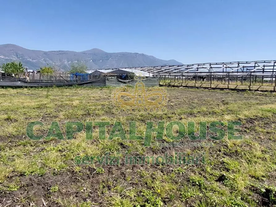 Immagine 10 di Terreno agricolo in vendita  in via ceraso a Cercola