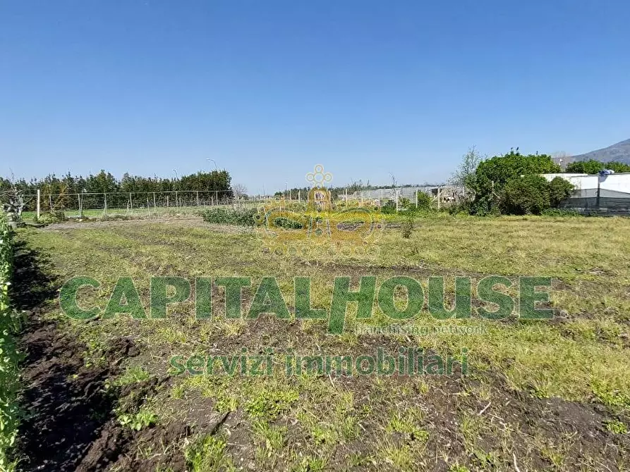 Immagine 3 di Terreno agricolo in vendita  in via ceraso a Cercola