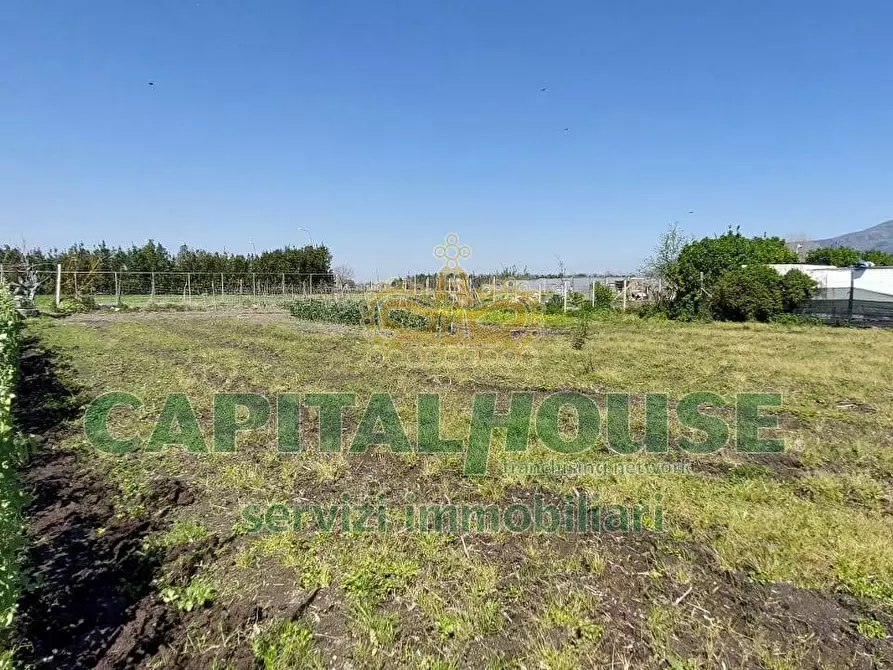 Immagine 11 di Terreno agricolo in vendita  in via ceraso a Cercola