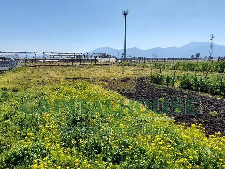 Immagine 4 di Terreno agricolo in vendita  in via ceraso a Cercola