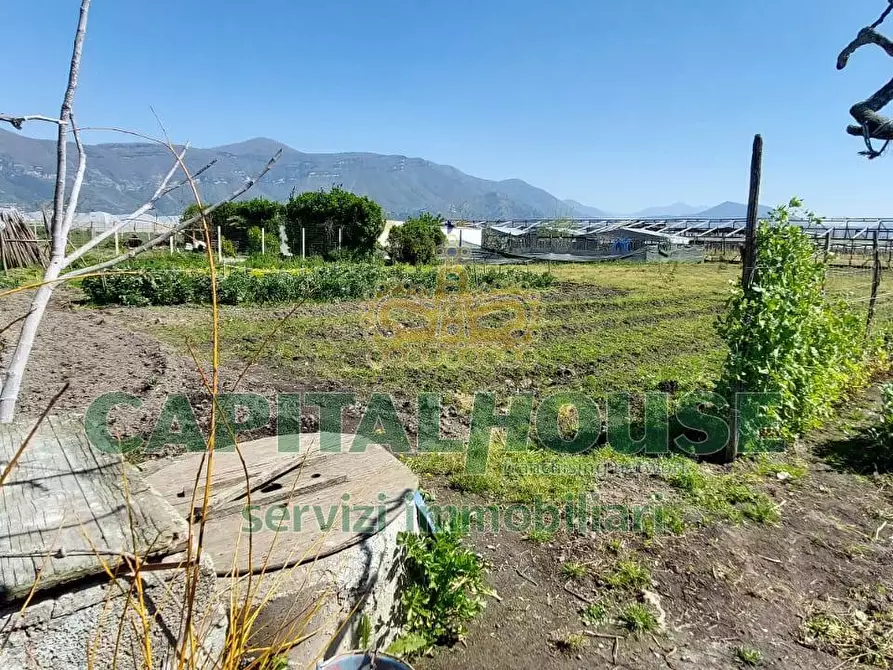 Immagine 12 di Terreno agricolo in vendita  in via ceraso a Cercola
