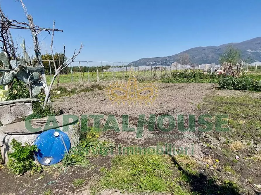 Immagine 13 di Terreno agricolo in vendita  in via ceraso a Cercola