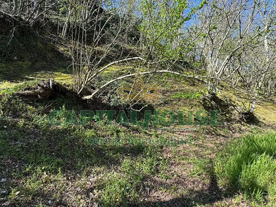 Immagine 5 di Terreno agricolo in vendita  in mugnano del cardinale a Mugnano Del Cardinale