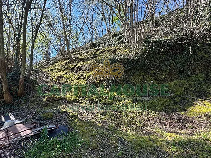 Immagine 7 di Terreno agricolo in vendita  in mugnano del cardinale a Mugnano Del Cardinale