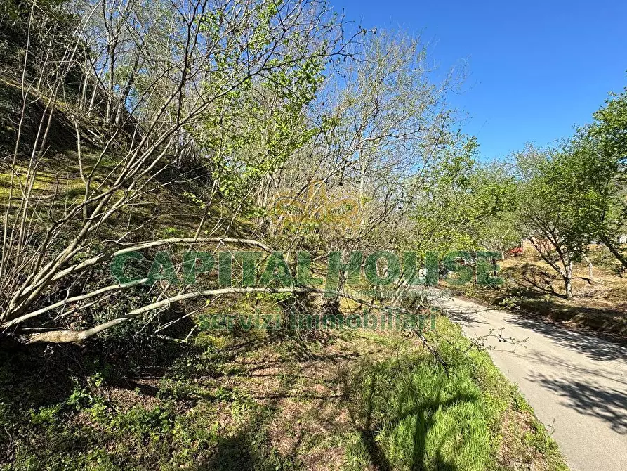 Immagine 9 di Terreno agricolo in vendita  in mugnano del cardinale a Mugnano Del Cardinale