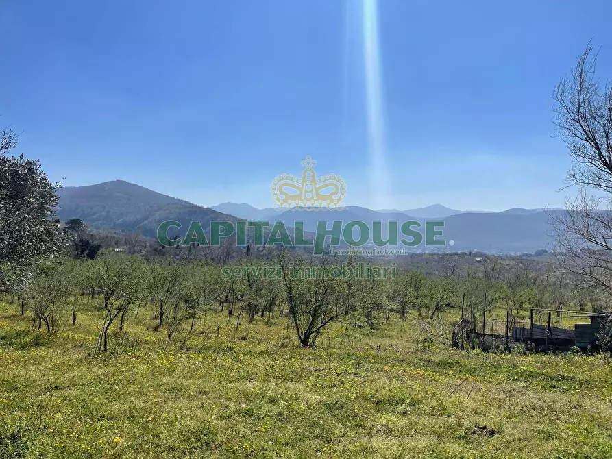 Immagine 4 di Terreno agricolo in vendita  in avella a Avella