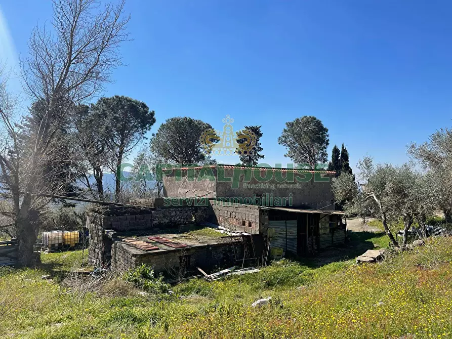 Immagine 6 di Terreno agricolo in vendita  in avella a Avella
