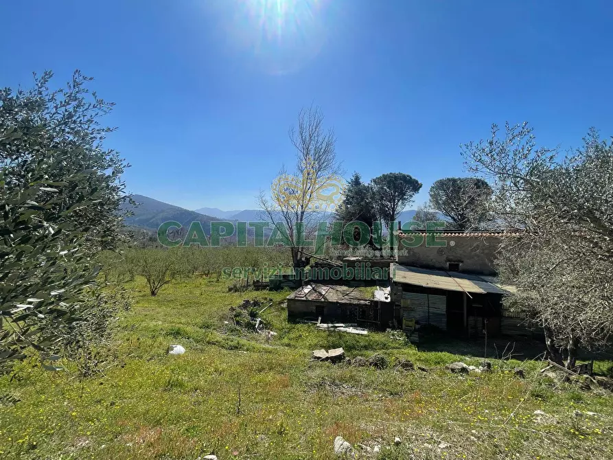 Immagine 9 di Terreno agricolo in vendita  in avella a Avella