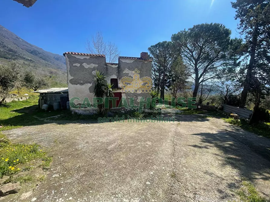 Immagine 10 di Terreno agricolo in vendita  in avella a Avella