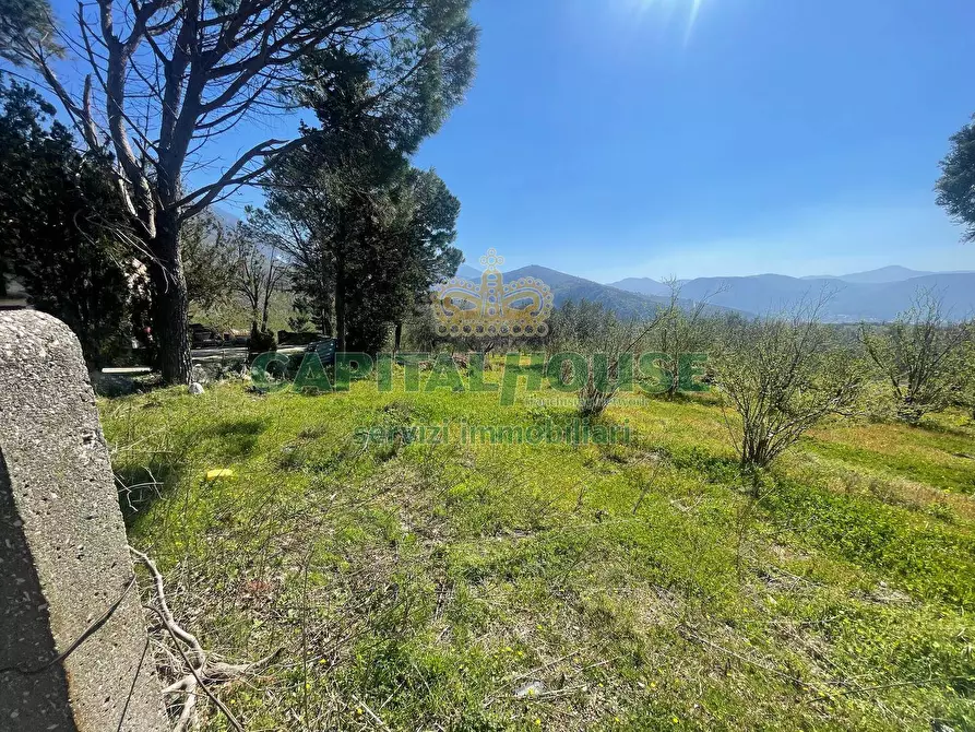 Immagine 12 di Terreno agricolo in vendita  in avella a Avella