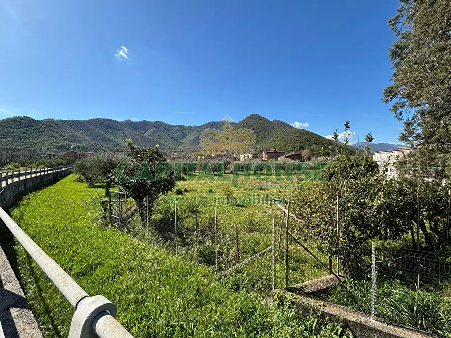 Immagine 2 di Terreno agricolo in vendita  in localita costa a Mercato San Severino