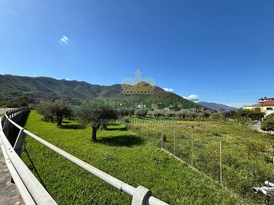 Immagine 3 di Terreno agricolo in vendita  in localita costa a Mercato San Severino
